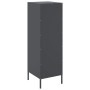 Anrichte aus anthrazitgrauem Stahl 36x39x113 cm von , Sideboards - Ref: Foro24-843008, Preis: 100,97 €, Rabatt: %