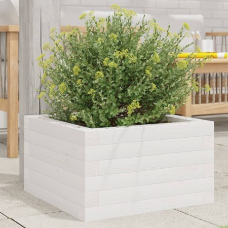 Massive weiße Kiefernholz-Pflanzschale 40x40x23 cm von , Töpfe und Pflanzgefäße - Ref: Foro24-847179, Preis: 54,63 €, Rabatt: %