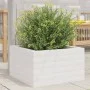 Massive weiße Kiefernholz-Pflanzschale 40x40x23 cm von , Töpfe und Pflanzgefäße - Ref: Foro24-847179, Preis: 53,92 €, Rabatt: %
