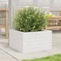 Jardinera de madera maciza de pino blanca 40x40x23 cm de , Maceteros y jardineras - Ref: Foro24-847179, Precio: 53,92 €, Desc...