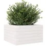 Massive weiße Kiefernholz-Pflanzschale 40x40x23 cm von , Töpfe und Pflanzgefäße - Ref: Foro24-847179, Preis: 53,92 €, Rabatt: %