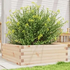 Massive Holzblumenkasten aus Kiefer 70x70x23 cm von , Töpfe und Pflanzgefäße - Ref: Foro24-847193, Preis: 72,47 €, Rabatt: %