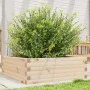 Jardinera de madera maciza de pino 70x70x23 cm de , Maceteros y jardineras - Ref: Foro24-847193, Precio: 72,72 €, Descuento: %