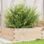 Massive Holzblumenkasten aus Kiefer 70x70x23 cm von , Töpfe und Pflanzgefäße - Ref: Foro24-847193, Preis: 73,69 €, Rabatt: %