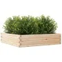 Jardinera de madera maciza de pino 100x100x23 cm de , Maceteros y jardineras - Ref: Foro24-847208, Precio: 71,45 €, Descuento: %