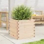 Jardinera de madera maciza de pino 50x50x45,5 cm de , Maceteros y jardineras - Ref: Foro24-847243, Precio: 79,39 €, Descuento: %