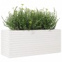 Jardinera de madera maciza de pino blanco 110x40x45,5 cm de , Maceteros y jardineras - Ref: Foro24-847274, Precio: 174,24 €, ...