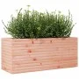 Massive Blumenkasten aus Douglasien-Tannenholz, 110x40x45,5 cm. von , Töpfe und Pflanzgefäße - Ref: Foro24-847276, Preis: 121...