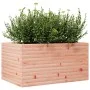 Massive Blumenkasten aus Douglasien-Tannenholz, 90x60x45,5 cm. von , Töpfe und Pflanzgefäße - Ref: Foro24-847281, Preis: 121,...