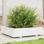 Blumenkasten aus massiver Kiefer 100x100x26,5 cm von , Töpfe und Pflanzgefäße - Ref: Foro24-847319, Preis: 128,04 €, Rabatt: %