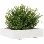 Solid pine wood planter 100x100x26.5 cm by , Pots and planters - Ref: Foro24-847319, Price: 128,04 €, Discount: %