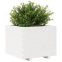Jardinera madera maciza de pino blanco 60x60x49,5 cm de , Maceteros y jardineras - Ref: Foro24-847359, Precio: 155,11 €, Desc...