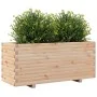 Massive Pinienholz-Pflanzkasten 110x40x49,5 cm von , Töpfe und Pflanzgefäße - Ref: Foro24-847378, Preis: 127,56 €, Rabatt: %