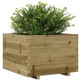Eingelassener Kiefernholz-Pflanzkasten 70x70x49,5 cm von , Töpfe und Pflanzgefäße - Ref: Foro24-847367, Preis: 163,11 €, Raba...