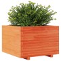 Jardinera madera maciza de pino marrón cera 70x70x49,5 cm de , Maceteros y jardineras - Ref: Foro24-847365, Precio: 148,09 €