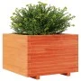 Solid pine wood planter in brown wax 70x70x49.5 cm by , Pots and planters - Ref: Foro24-847365, Price: 132,00 €, Discount: %