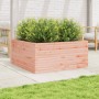 Massive Blumenkasten aus Douglasien-Tannenholz, 100x100x46 cm. von , Töpfe und Pflanzgefäße - Ref: Foro24-3282432, Preis: 200...