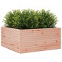Massive Blumenkasten aus Douglasien-Tannenholz, 100x100x46 cm. von , Töpfe und Pflanzgefäße - Ref: Foro24-3282432, Preis: 200...