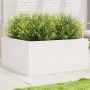 Solid white pine wood planter 100x100x46 cm by , Pots and planters - Ref: Foro24-3282430, Price: 223,33 €, Discount: %