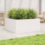 Massive Blumenkasten aus weißem Kiefernholz 100x100x46 cm von , Töpfe und Pflanzgefäße - Ref: Foro24-3282430, Preis: 226,21 €...