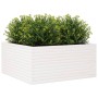 Massive Blumenkasten aus weißem Kiefernholz 100x100x46 cm von , Töpfe und Pflanzgefäße - Ref: Foro24-3282430, Preis: 226,21 €...