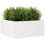 Solid white pine wood planter 100x100x46 cm by , Pots and planters - Ref: Foro24-3282430, Price: 223,33 €, Discount: %