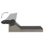 Double sun lounger with canopy and gray synthetic rattan cushions by , Loungers - Ref: Foro24-368639, Price: 273,99 €, Discou...