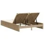 Double sun lounger with beige synthetic rattan cushions by , Loungers - Ref: Foro24-368632, Price: 259,59 €, Discount: %