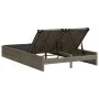Double sun lounger with gray synthetic rattan cushions by , Loungers - Ref: Foro24-368630, Price: 263,90 €, Discount: %