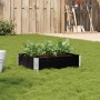 Jardinera de madera maciza de pino negro 80x60 cm de , Maceteros y jardineras - Ref: Foro24-3295836, Precio: 44,98 €, Descuen...