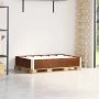 Solid pine wood pallet collar in brown, 120x80 cm. by , Loading platforms and pallets - Ref: Foro24-4010274, Price: 42,64 €, ...