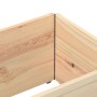 Pallet necklaces, 2 units, solid pine wood, 150x50 cm. by , Loading platforms and pallets - Ref: Foro24-4010297, Price: 92,75...