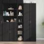 Hoher schwarzer Schrank aus Spanplatte, 30x41x185 cm. von , Sideboards - Ref: Foro24-846412, Preis: 86,73 €, Rabatt: %