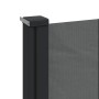 Toldo lateral retráctil gris antracita 200x300 cm by , Umbrellas - Ref: Foro24-4004368, Price: 116,12 €, Discount: %