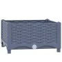 Arriate polipropileno 40x40x23 cm de vidaXL, Maceteros y jardineras - Ref: Foro24-310397, Precio: 26,27 €, Descuento: %