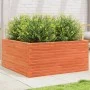 Jardinera de madera maciza pino marrón cera 100x100x46 cm by , Pots and planters - Ref: Foro24-3282431, Price: 222,58 €, Disc...