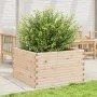 Jardinera de madera maciza de pino 80x80x46 cm by , Pots and planters - Ref: Foro24-3282419, Price: 151,26 €, Discount: %