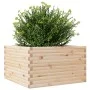 Jardinera de madera maciza de pino 80x80x46 cm by , Pots and planters - Ref: Foro24-3282419, Price: 151,26 €, Discount: %