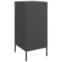 Aparador acero negro 36x39x79 cm de , Aparadores - Ref: Foro24-843012, Precio: 71,63 €, Descuento: %