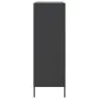 Schwarzer Stahlschrank 68x39x113 cm von , Sideboards - Ref: Foro24-842964, Preis: 136,49 €, Rabatt: %