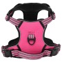 Arnés para perros con correa y collar ajustable rosa XL von , Hundeprodukte - Ref: Foro24-4013399, Preis: 23,16 €, Rabatt: %