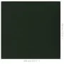 HDPE-Zeltmatte dunkelgrün 400x400 cm von vidaXL, Zeltzubehör - Ref: Foro24-310711, Preis: 38,07 €, Rabatt: %