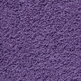 Premium-Handtücher, 10 Stück, 100% Baumwolle, lila, 100x200 cm, 600 g/m². von , Handtücher - Ref: Foro24-137367, Preis: 243,7...