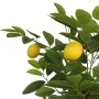 Artificial lemon tree with 3 green PP trunks 85 cm. by , Trees - Ref: Foro24-4010676, Price: 61,11 €, Discount: %