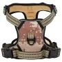 Dog harness with leash and adjustable brown XL collar by , Dog products - Ref: Foro24-4013398, Price: 24,18 €, Discount: %