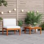Conjunto de jardín de 2 piezas con cojines de madera de acacia