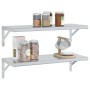 Wandregale 2 Stück Edelstahl silber 75x30x3 cm von , Regale und Regale - Ref: Foro24-30282, Preis: 61,53 €, Rabatt: %