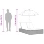 Doppel-Liegestuhl mit Kissen und braunem synthetischem Rattan-Sonnenschirm. von , Liegen - Ref: Foro24-368082, Preis: 260,95 ...