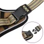 Dog harness with leash and adjustable brown XL collar by , Dog products - Ref: Foro24-4013397, Price: 25,18 €, Discount: %