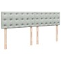Cama box spring con colchón terciopelo gris claro 200x200 cm de , Camas y somieres - Ref: Foro24-3287842, Precio: 695,42 €, D...